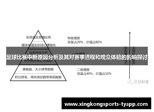 足球比赛中断原因分析及其对赛事进程和观众体验的影响探讨