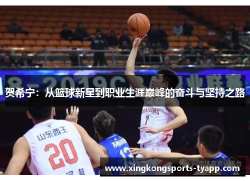 贺希宁：从篮球新星到职业生涯巅峰的奋斗与坚持之路
